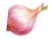 Funfact Icon