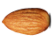 Funfact Icon