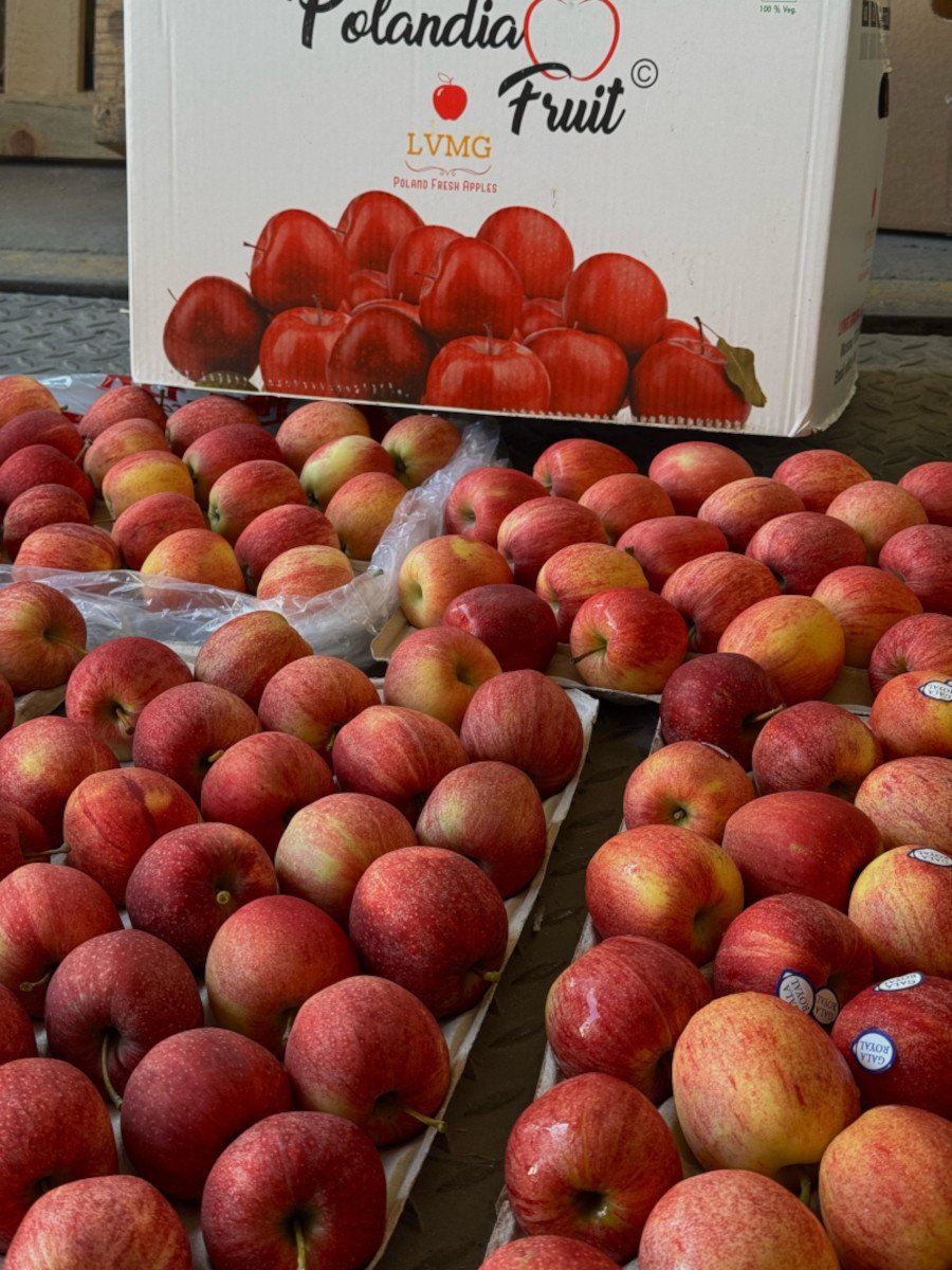 Apple