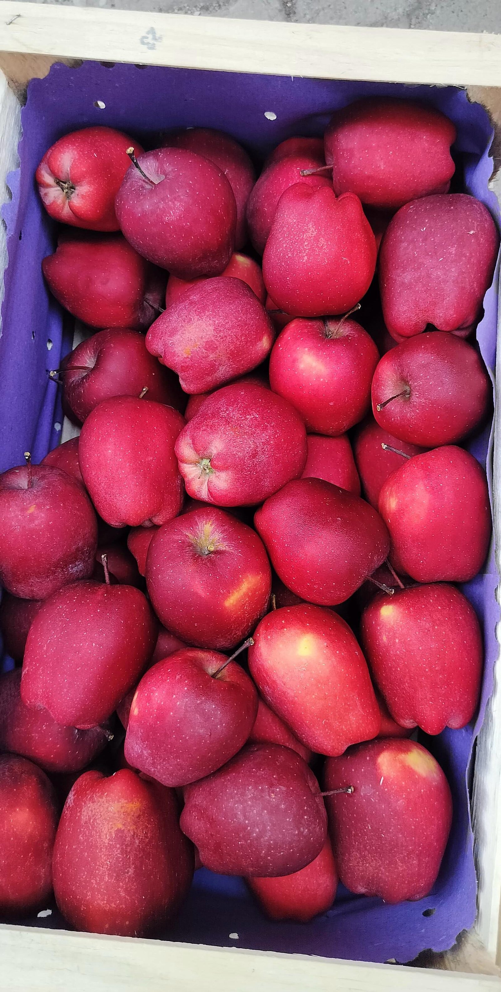 Apple