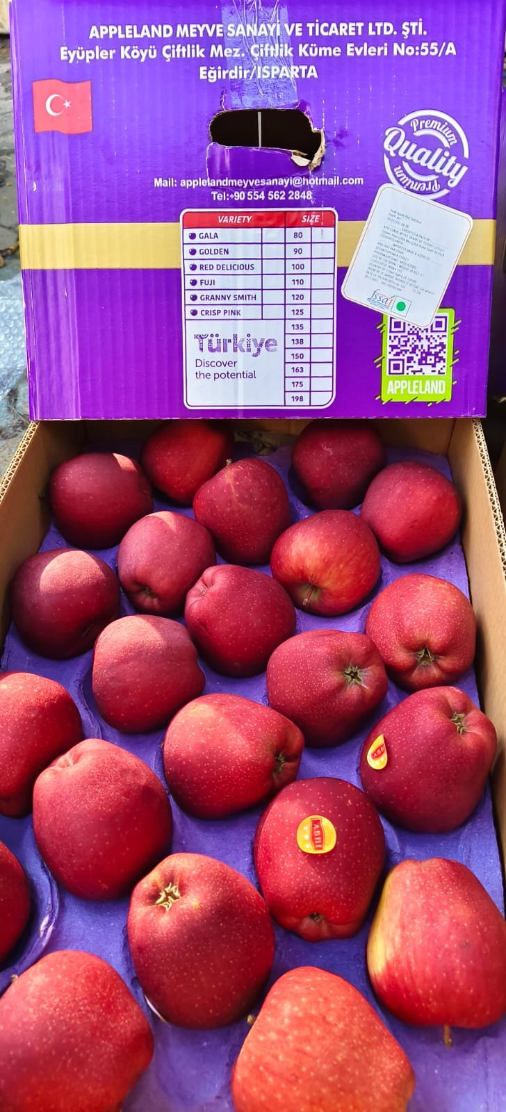 Apple