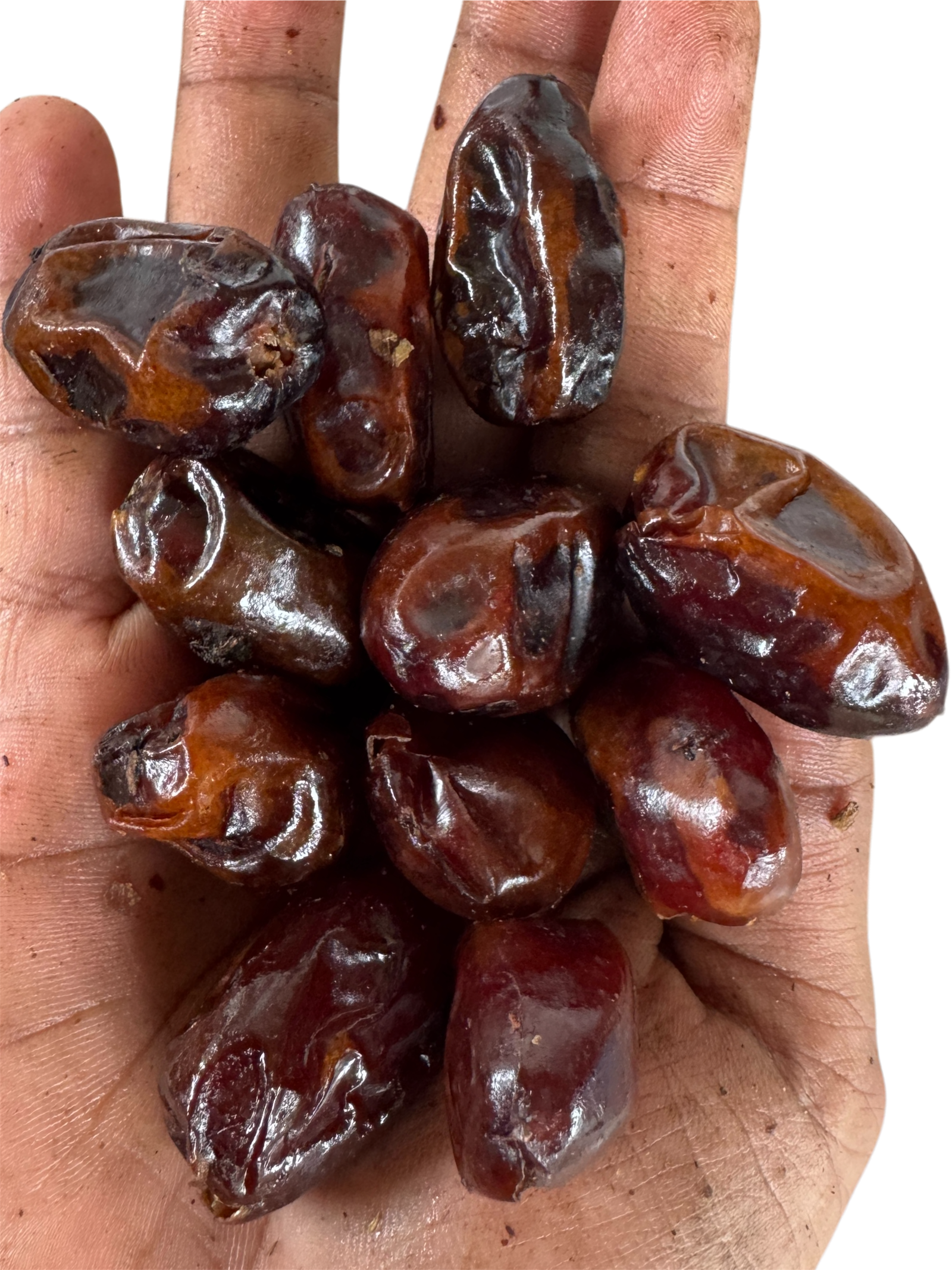 Dates
