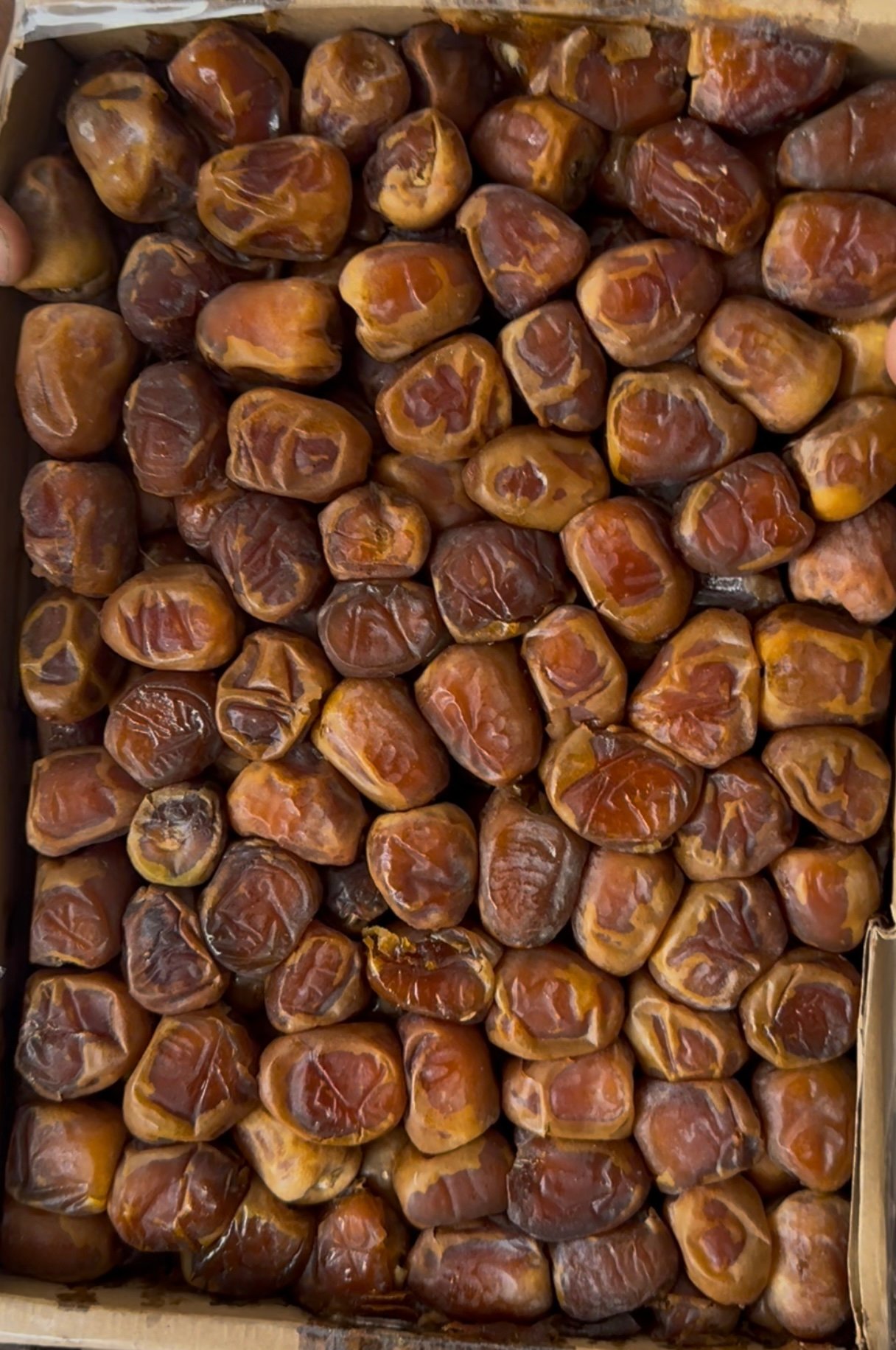Dates